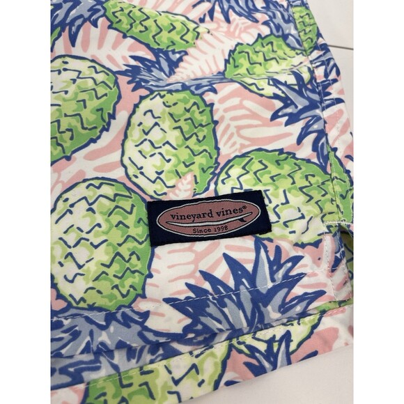 Vineyard Vines Mens Pineapple Print Pink Blue Green Swim Trunks Drawstring Sz Sm - Picture 2 of 8